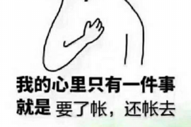 松滋企业清欠服务